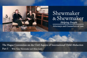 Hague Convention on International Child Abduction